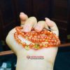 Chuỗi hồng nhật vận